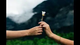 Priya priya oh Priya Tu Chand hai Poonam ka