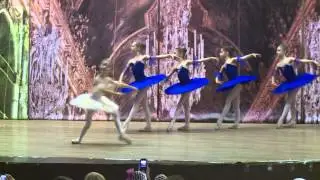 Дриады отчетный