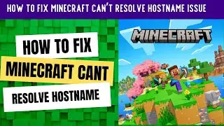 How to fix Minecraft Cant Resolve Host Name Error