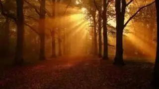 Gandalf - Echoes From Ancient Dreams