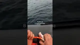 Треска клюёт на 