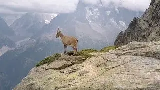 Le Tour du Mont Blanc (TMB) - Chamonix, France
