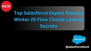 Top Salesforce Expert Reveals Winter 25 Flow Choice Lookup Secrets