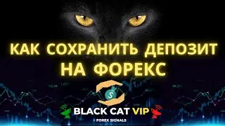 Как не потерять депозит на Форекс. Простой расчет рисков. Торговля на валютном рынке. 18+