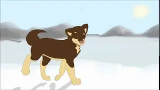 Dog walking cycle