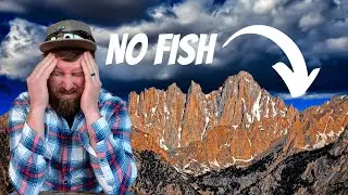 Sierra Nevada Mountains Fishless | Heritage Trout Mapping E10 | Yellow-Legged Mountain Frog
