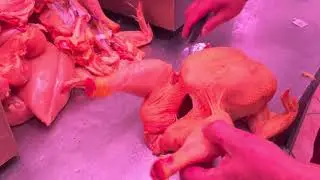 Sezionare un Petto di Pollo Fileni