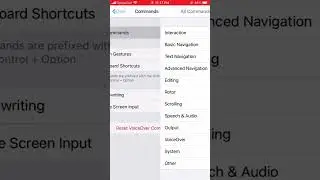 How to Turn On VoiceOver on iPhone