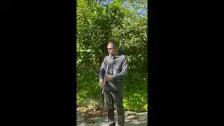 აფხაზური მელოდიები აჭარპანზე - Abkhazian Melodies on the Acharpin