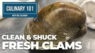 Clean and Shuck Fresh Clams