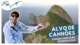 Alcatrazes, no litoral norte paulista, parte I