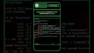 Shell Script to Display User Information 