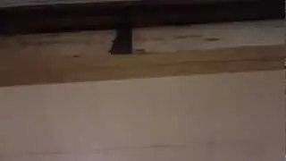 Engineered Beams