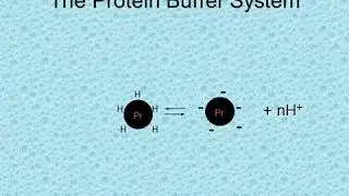 Acid base syndromes 200 pptm