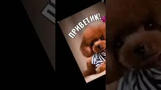 ПРИВЕТИК ! СПАСИБО ТЕБЕ ЗА ТО, ЧТО ТЫ ПРОСТО ЕСТЬ ! ... 