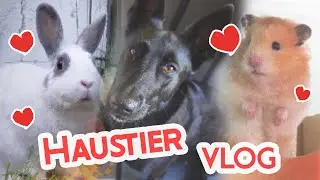 Haustier Vlog 🐾Hamster, Hund, Kaninchen Axolotl und Co.🐹🐺 🐰🐟🎬