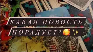 Какая новость тебя порадует?🦋✨ | Таро | Расклад