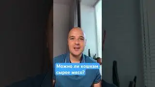 Можно ли давать кошке сырое мясо? #кошки #ветеринар