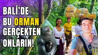 Bali Monkey Forest - UBUD MONKEY FOREST