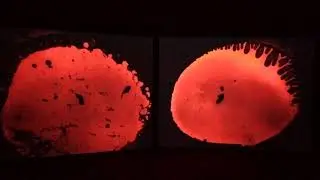 Bad Feel Loops