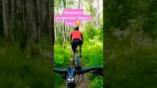 Что эти тёлки делают в лесу? #mtb