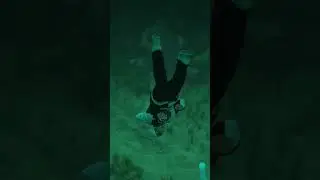 Franklin Found Rare Creature Inside Sea In GTA 5