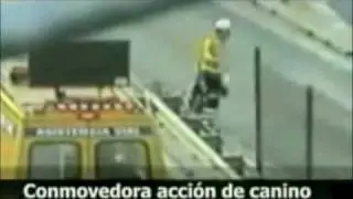 the luckiest people compilation part 5