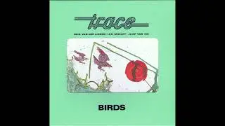 Trace Trixie Dixie Birds