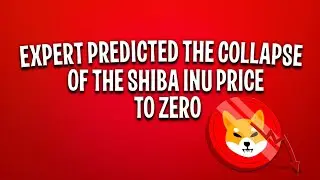 Experts predicted the collapse of the Shiba Inu price to zero | Crypto News