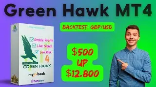 Green Hawk MT4 Backtest 2024 | FX STORE EA