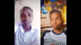 Are they twins?