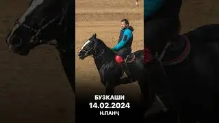 Бузкаши 14.02.2024 н.Панҷ