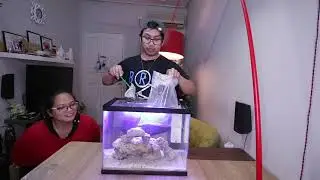Finding Dory | Saltwater Aquarium