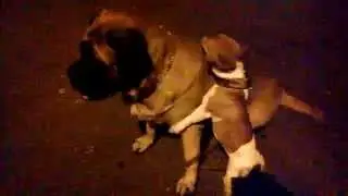 Свидание.