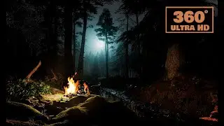 Forest Sounds | Wind | Night | 360 Video | Relax | Sleeping | VR