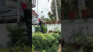ഒത്തിരി നന്ദി | voice over 🎙️ part 1 #garden #houseplants #jishnuuthaman #indoorplants