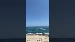 속초 비밀 카페 #바다멍