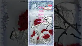 Зимнее настроение#short#shortvideoyoutube#зима#shorttomriko#tomriko#gladkova19462164