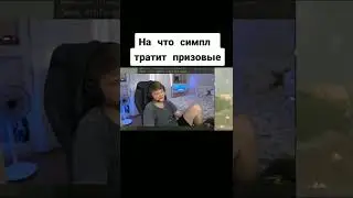 СКОЛЬКО ЗАРАБАТЫВАЕТ СИМПЛ