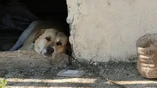 O KÖY BİZİM KÖYÜMÜZDÜR
