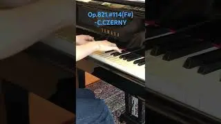 🎹Need the exercise?▶️#114(F#):Op.821,160 Eight measure Exercise- C.CZERNY#shorts #piano