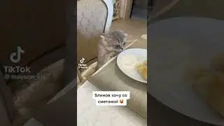 С началом недели Масленицы.