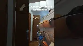 9 августа 2024 г.