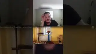 Убермаргинал трёх очковый котик 