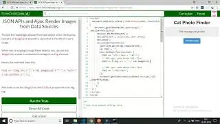 freecodecamp-JSON APIs and Ajax Render Images from Data Sources-solutions
