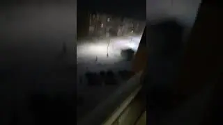 снежок