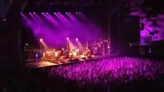 Glen Hansard en el Botanico