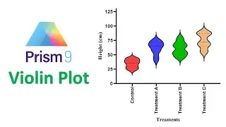 How to Make a Violin Plot in Graphpad prism | Statistics Bio7 | Mohan Arthanari