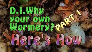 D.I.Why? A Wormery Part 1
