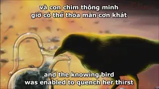 Cách xem phim hai phụ đề bằng Kmplayer để học tiếng anh